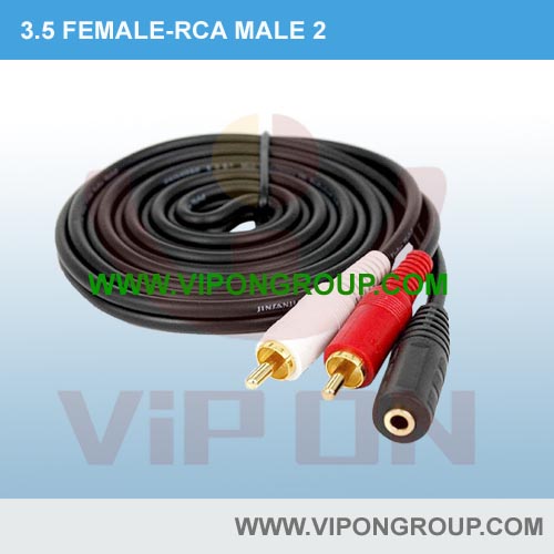 3.5 FEMALE-RCA MALE 2